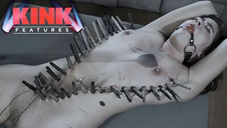 Kink Features