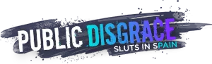 Public Disgrace logo