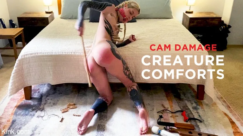 Cam Damage: Creature Comforts - Kinky Bites